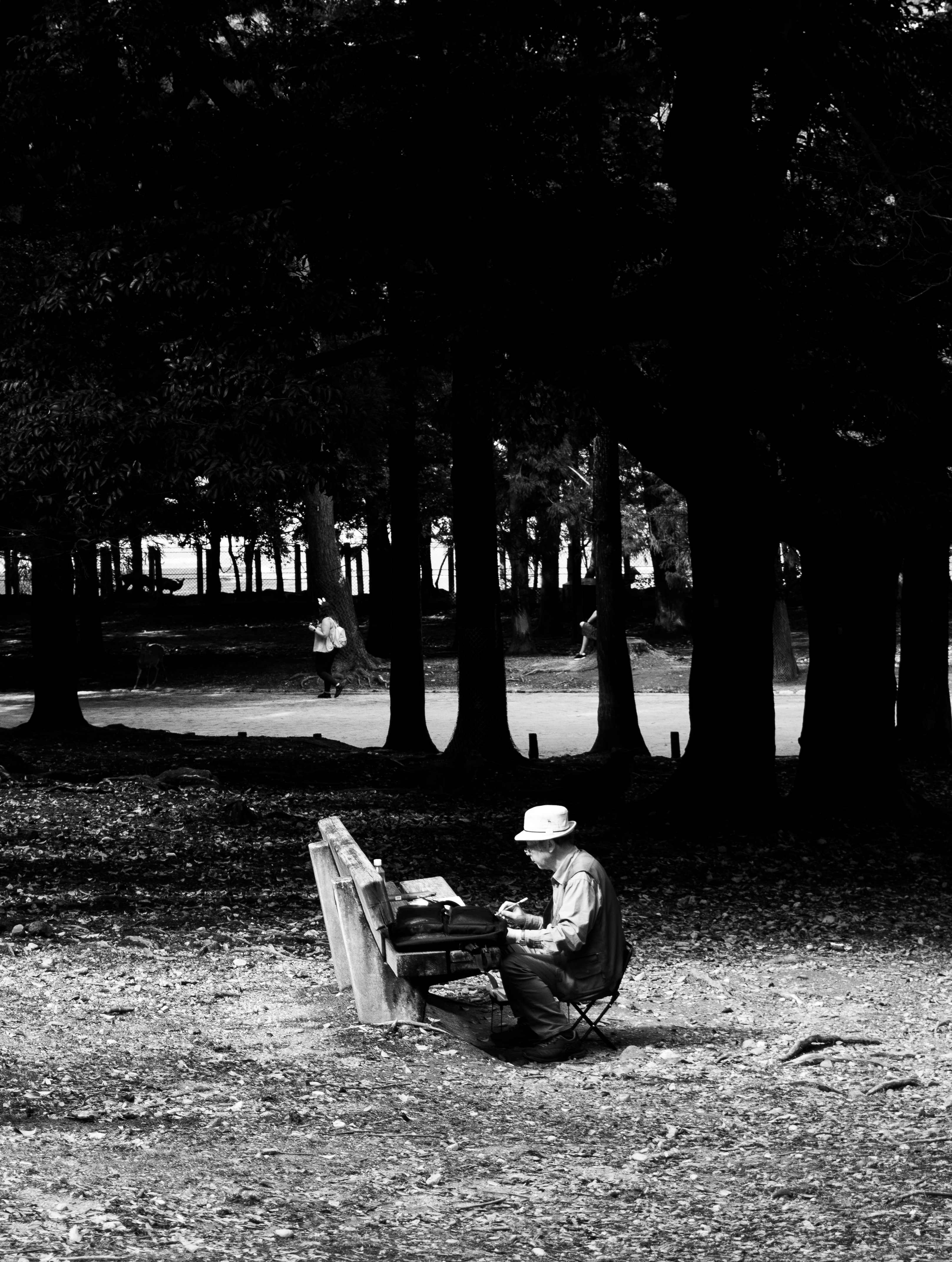 Nara Deer Park