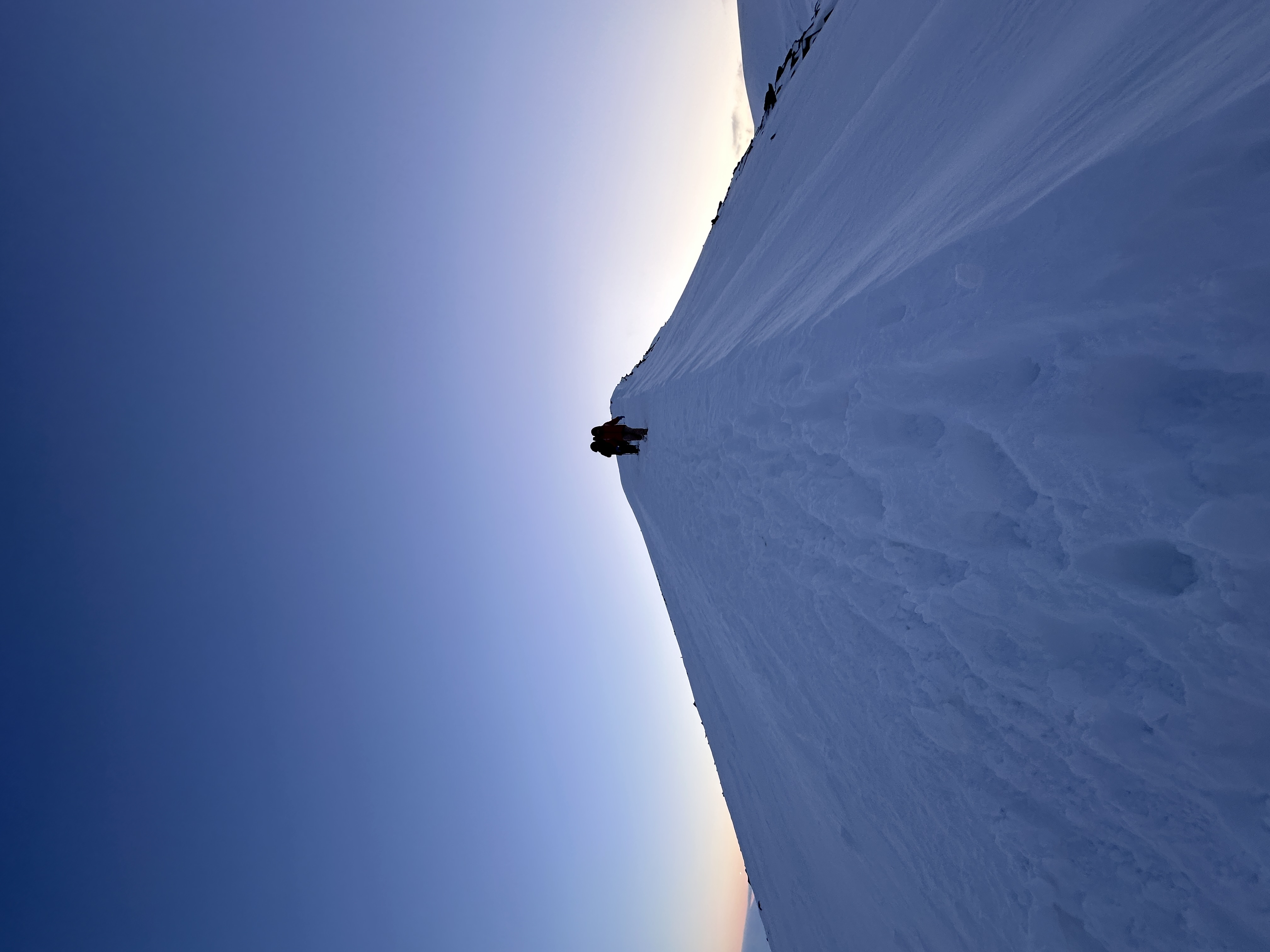 Ascent