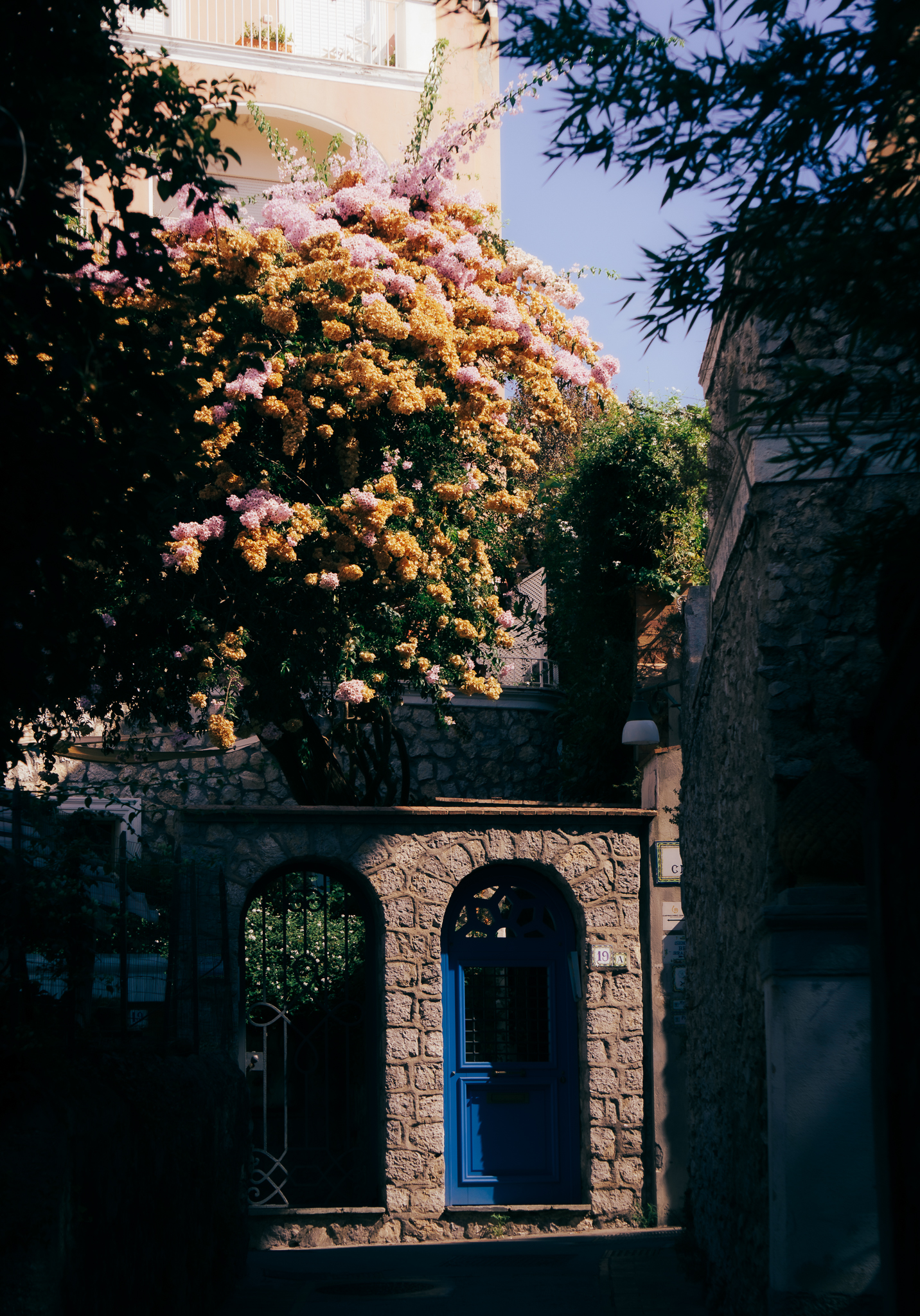 Little Blue Door