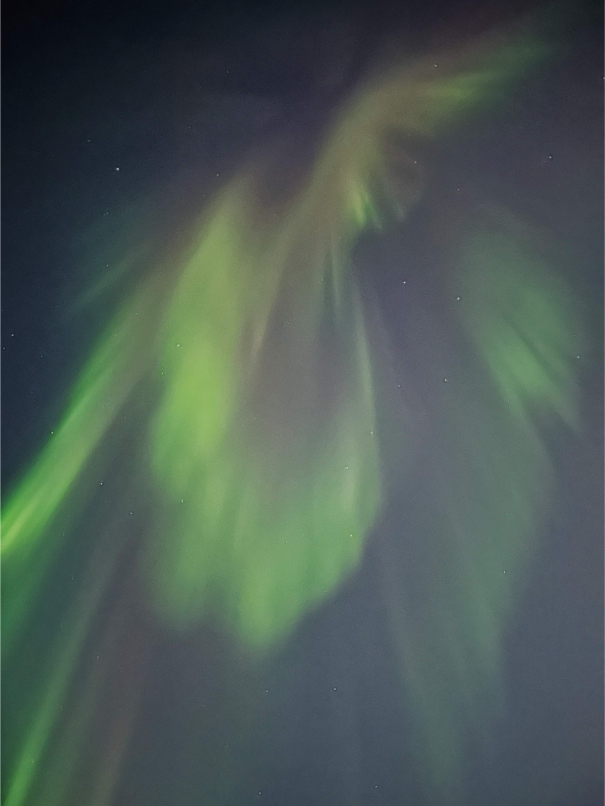 Aurora
